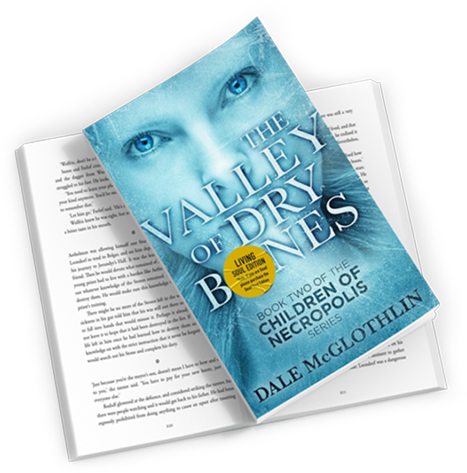 About Book Fallback